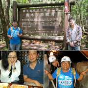 Picture of 2015 Aokigahara (Suicide Forest) Tour
