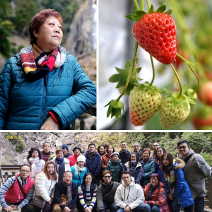 Picture of 2019 Osaka, Wakayama